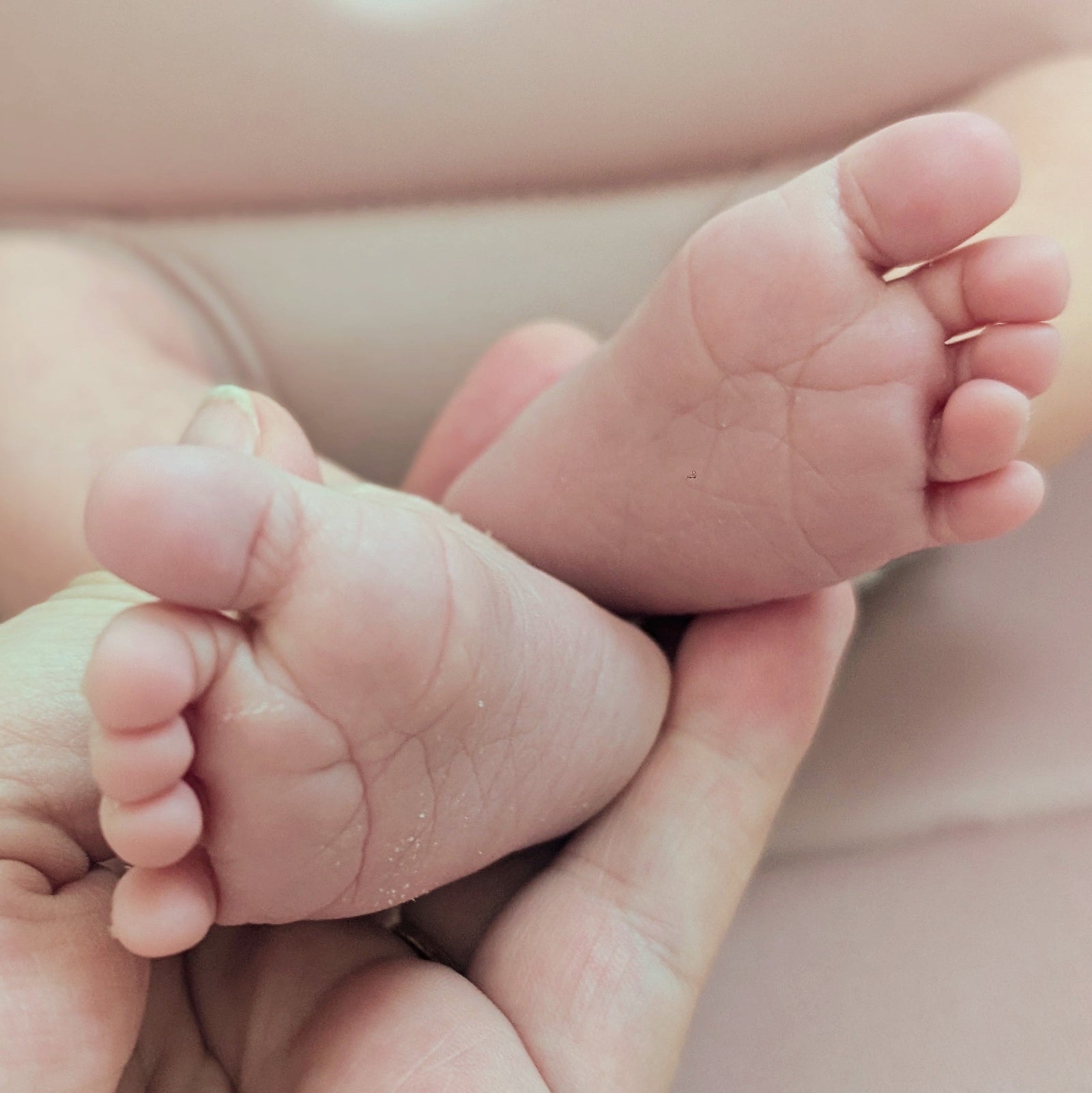 NEW YEAR - NEW BEGINNINGS