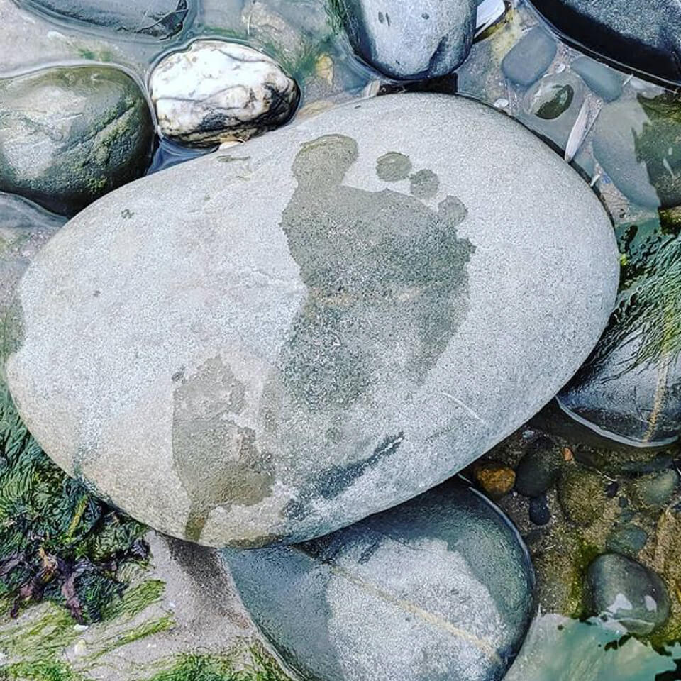 wet footprint on pebble