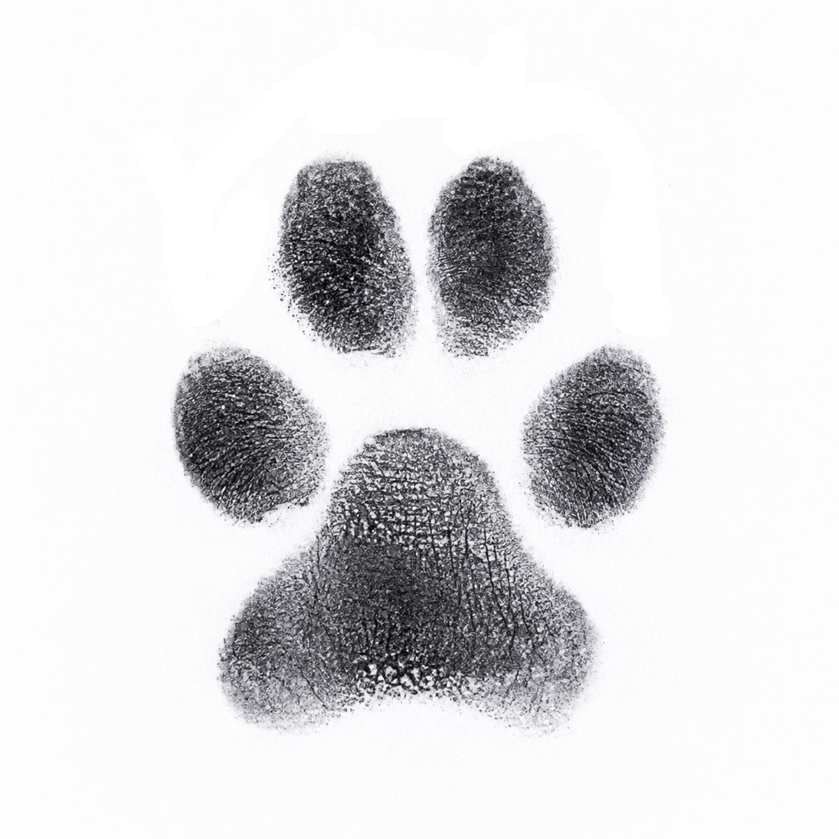 Pet Pawprint Kit